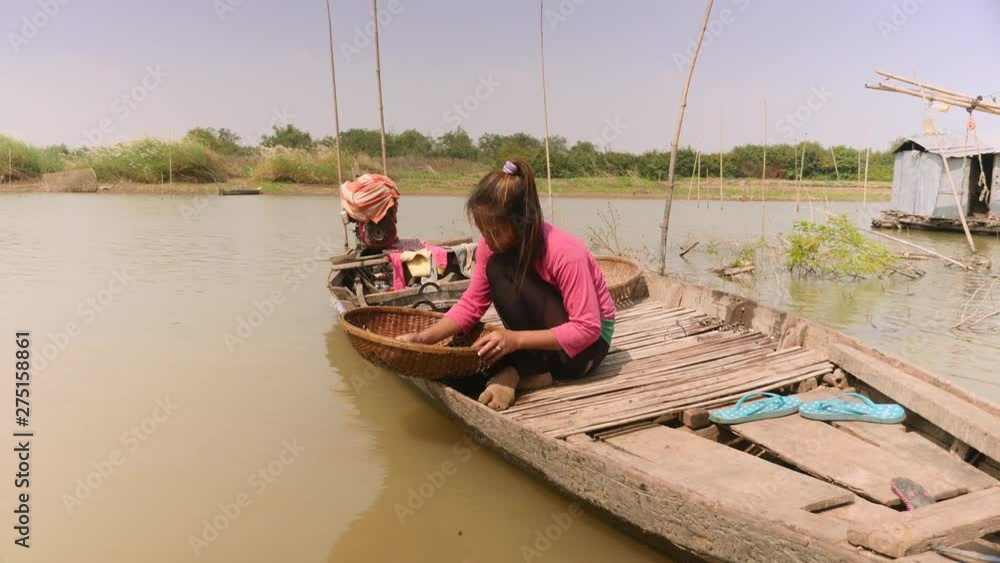 Woman sorting river clams out from rocks in a bamboo basket and keeping it in a basin Woman sorting river clams out from rocks in a bamboo basket and keeping it in a basin