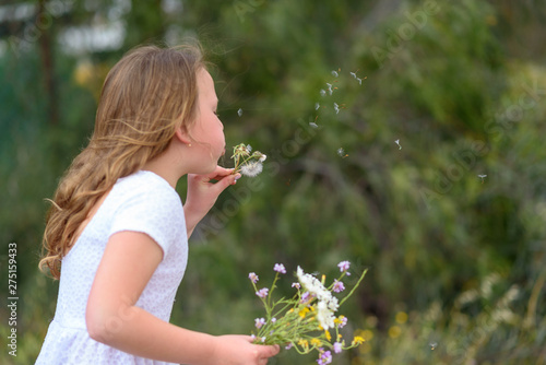 Beautiful little girl blowing dandelion. Portrait adorable little kid outdoor. Summer or Autumn. Harvest. Shavuot.