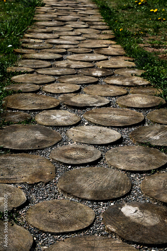 view of the path lined with wooden circles, background photo