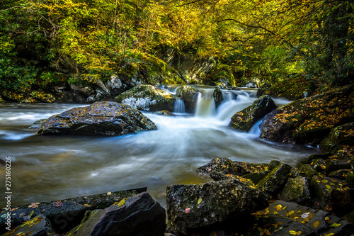 picturesque scenery from virginia creeper trail in autumn