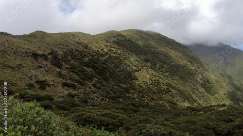 Panoramic view over beautiful, lush green hills in Serra do Topo on Sao Jorge island, Azores, Portugal