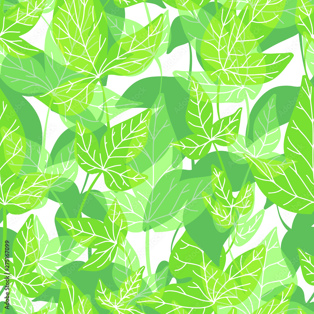 Fototapeta premium Vector seamless pattern with drawing green leaves, artistic botanical illustration, isolated floral elements, hand drawn illustration. Repeatable baackground with liana.