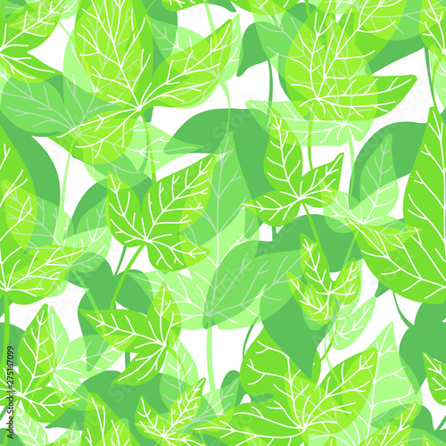 Vector seamless pattern with drawing green leaves, artistic botanical illustration, isolated floral elements, hand drawn illustration. Repeatable baackground with liana.