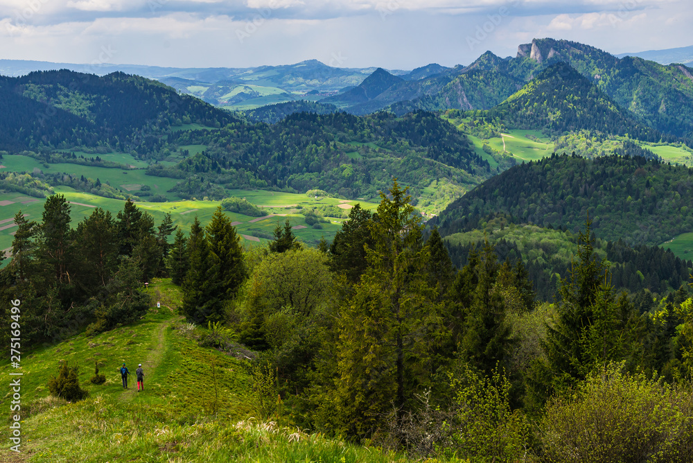 Fototapeta premium Pieniny - widok z Wysokiego Wierchu