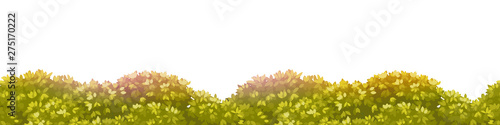 Background with fluffy thickets, bushes with dense foliage. Seamless border for design. Vector illustration