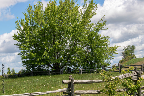 Campagne des Cantons de l Est  Estrie  Qu  bec Canada