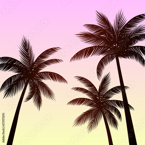 Silhouette palm trees background