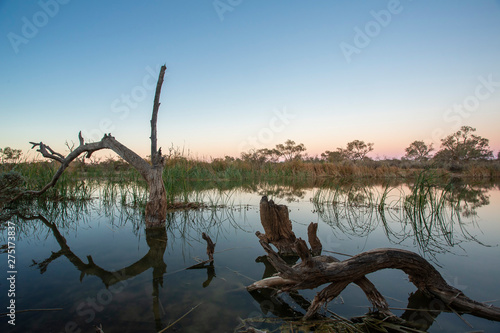 Dramatic sky  trees in silhouette and reflections on water at dusk in the Australian Outback