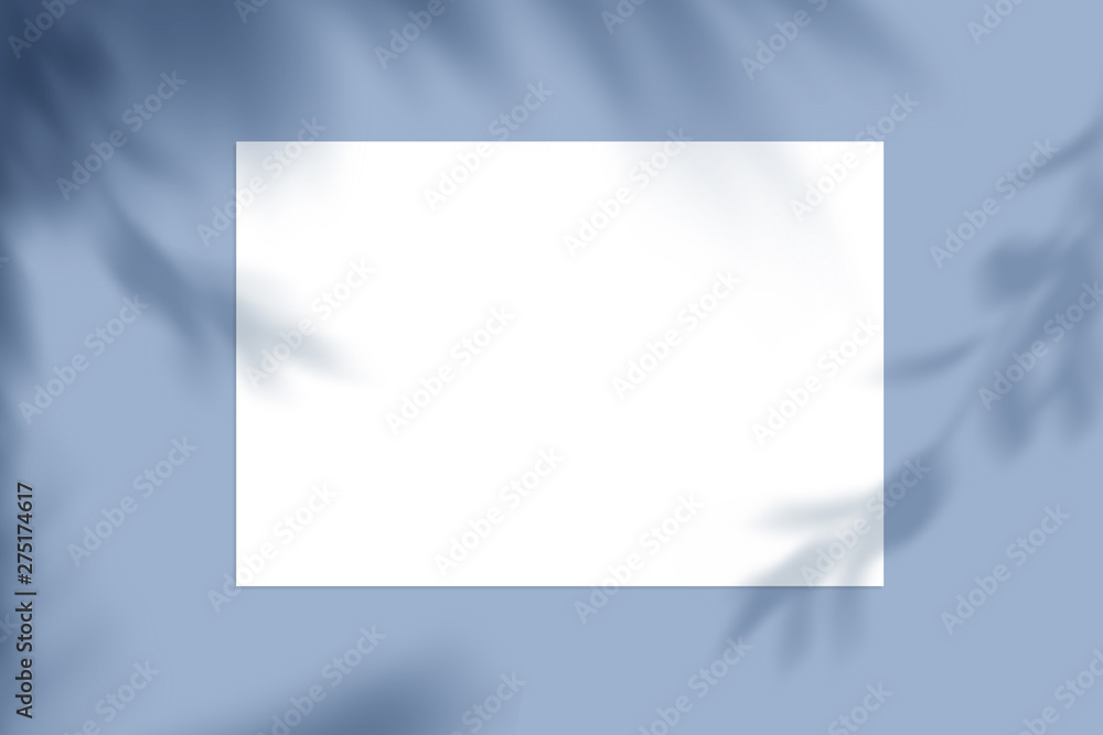 Fototapeta premium nature landscape, summer frame and free space for text, summer background