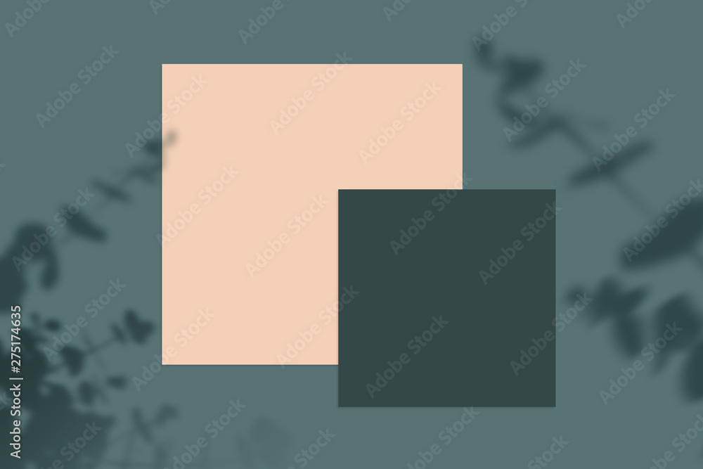 Fototapeta premium nature landscape, summer frame and free space for text, summer background