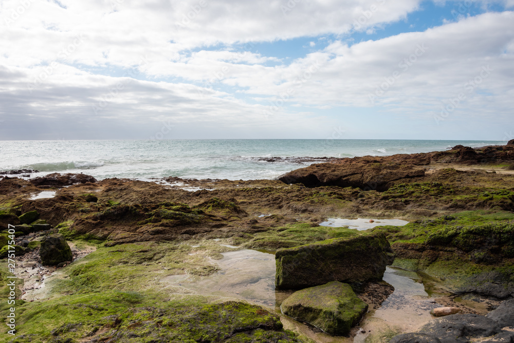 Stones on the ocean shore, covered with moss. Costa Calma, Fuerteventura, Canary Islands, Spain. Stones on the ocean shore, covered with moss. Costa Calma, Fuerteventura, Canary Islands, Spain.