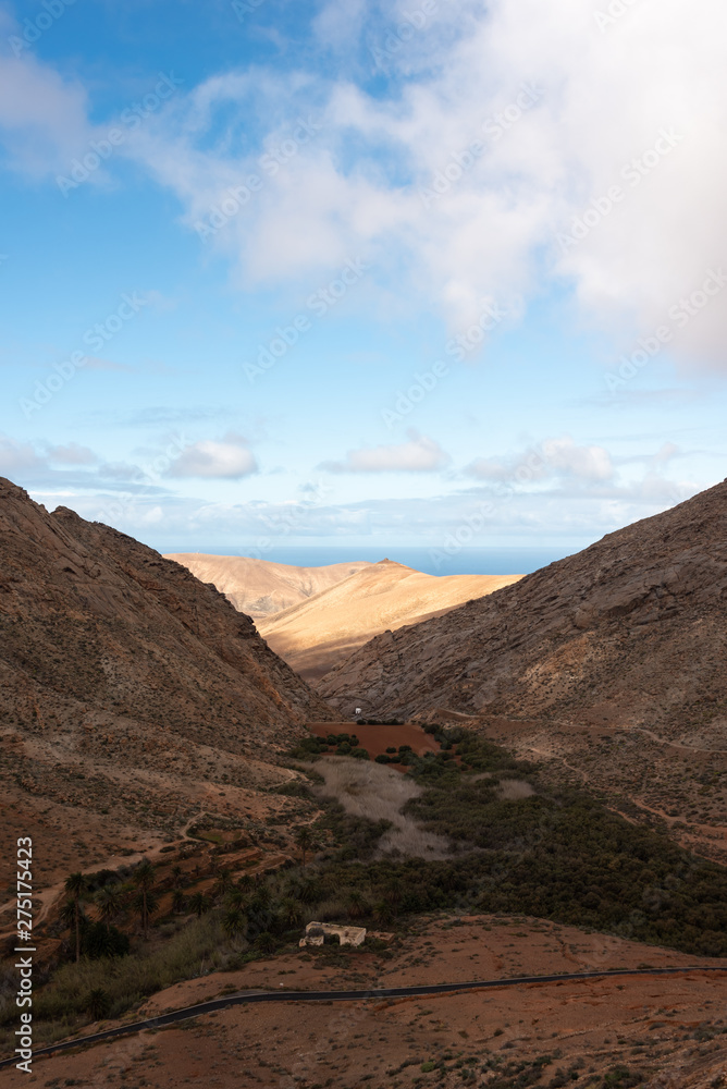 View on the valley, ocean in the background. Fuerteventura, Canary Islands, Spain. 
