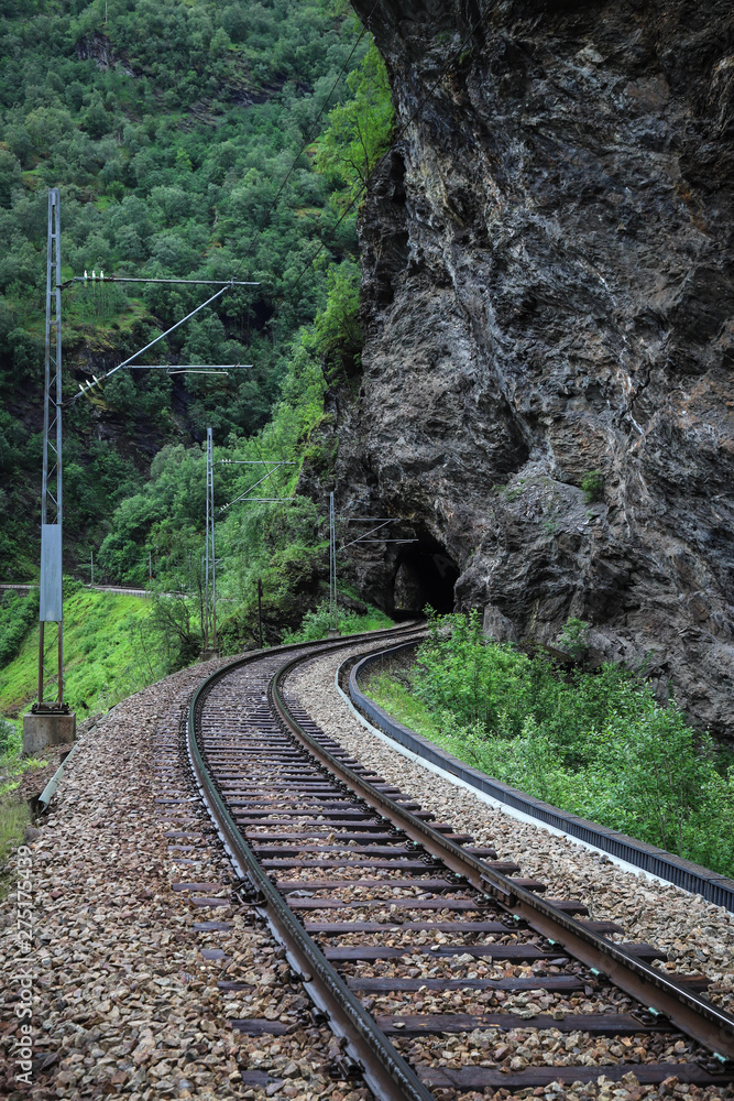 Fototapeta premium Railway tunnel on Flamsbana in Norway