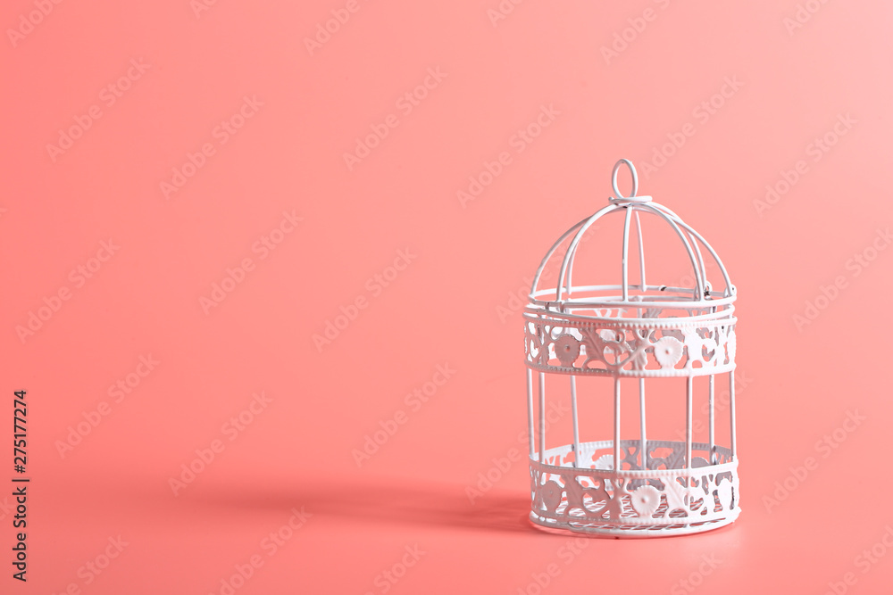 white decorative iron bird cage on a pink background
