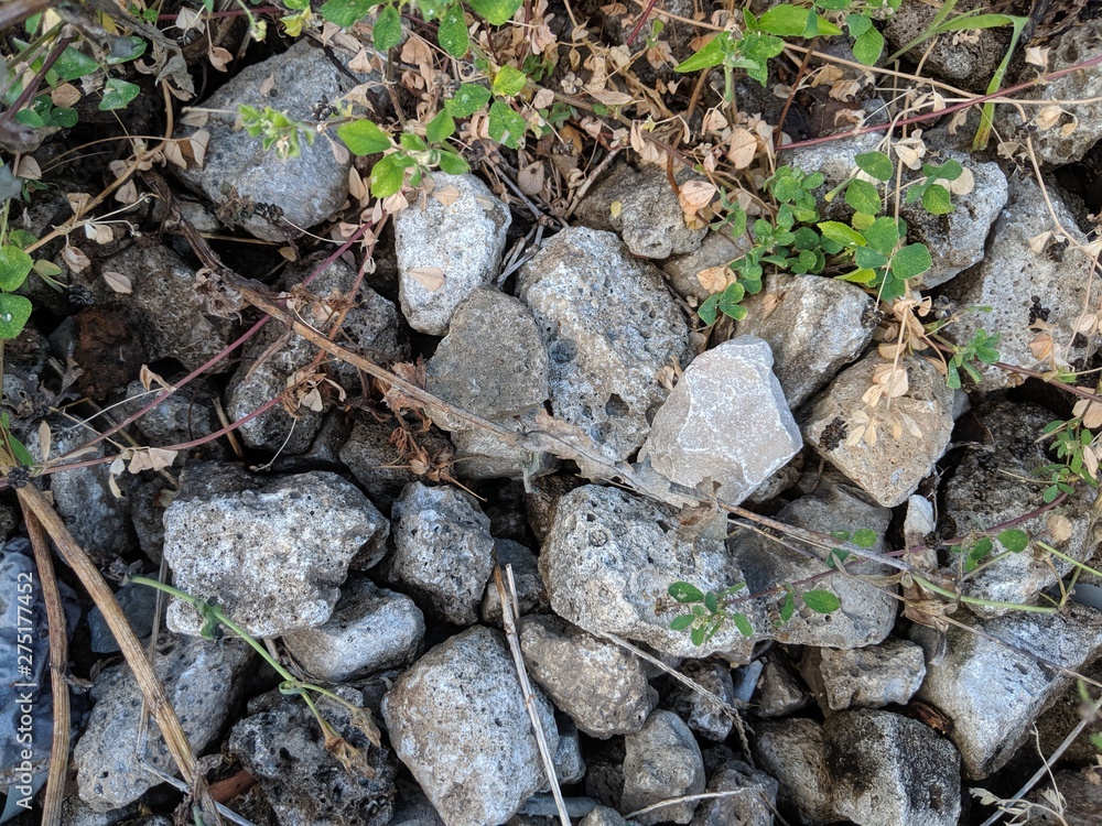 Grey stones in the grass background or texture. Grey stones in the grass background or texture.