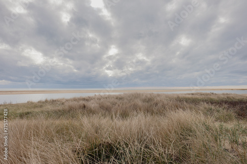 Gray skies over tall grasses and weathered fence on Chappaquidick island