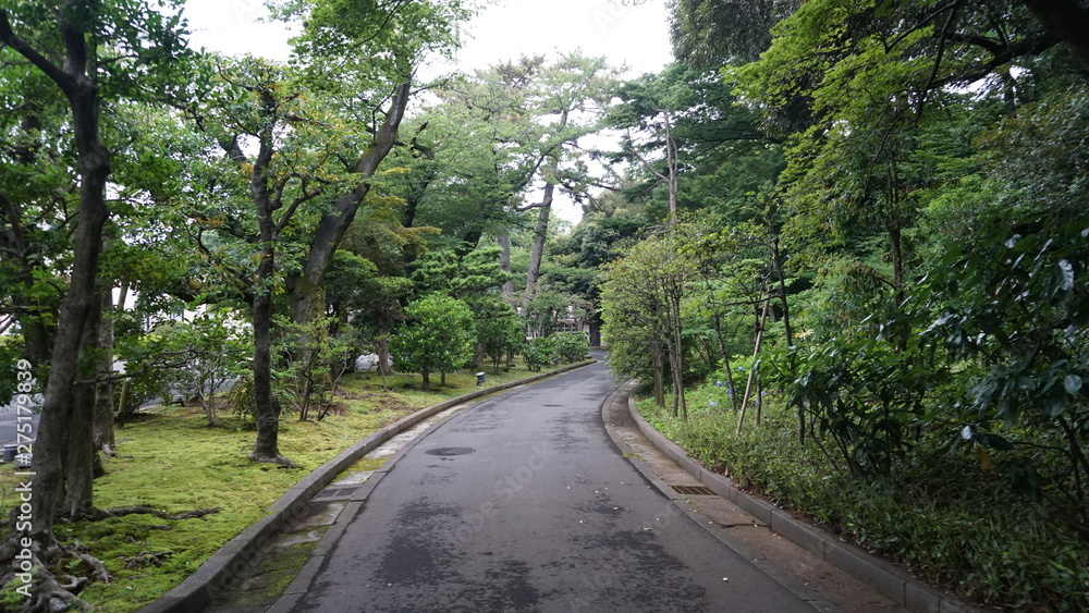 Obraz premium 庭園への道