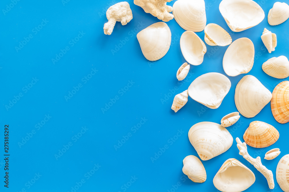 Fototapeta premium shells and seaside background for blog or desktop on blue table top view mock-up