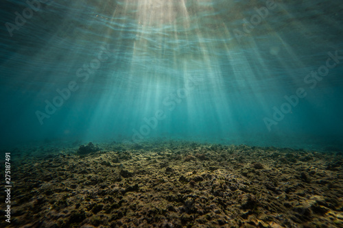 underwater sunr rays © derek