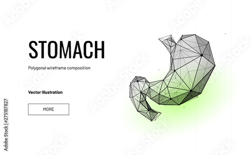 Stomach. The concept of treatment of the digestive system. Low poly wireframe style. Technology in medicine. Abstract illustration isolated on white background. Particles are connected in silhouette