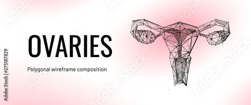 Female uterus and ovaries abstract scientific background, reproductive organs treatment concept on a beautiful abstract bright science backdrop