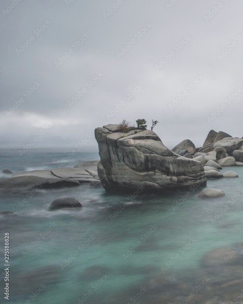 bonsai rock lake tahoe 