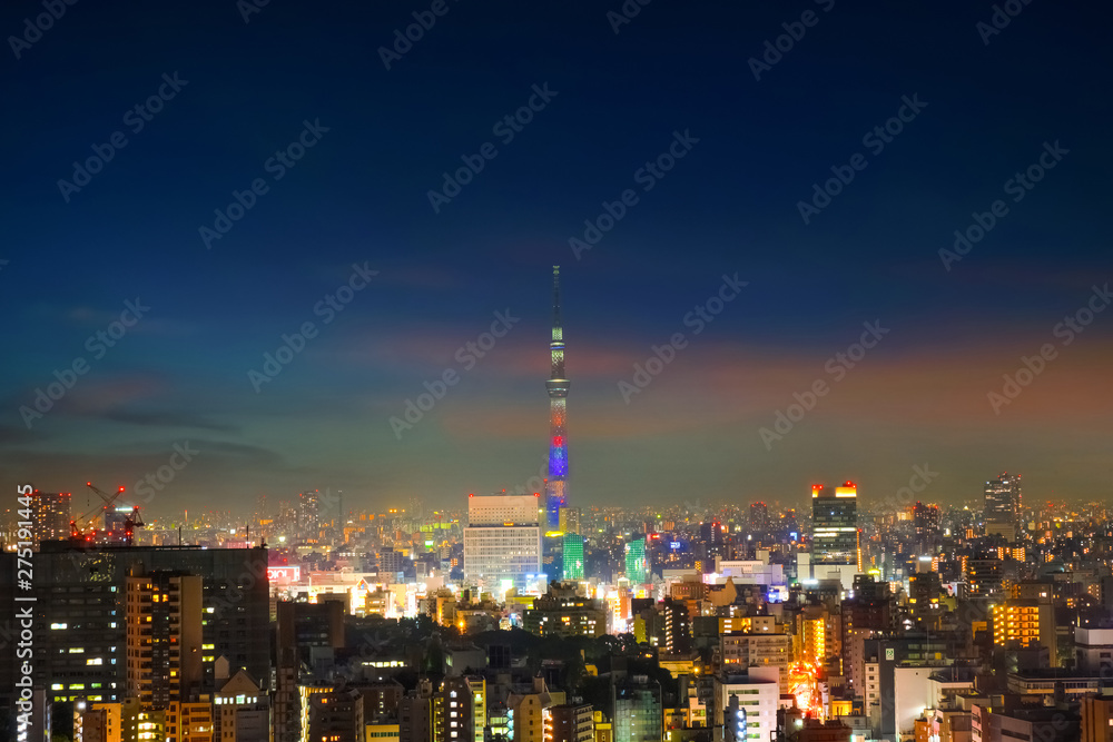 Fototapeta premium Scenic view of the city of tokyo, the capital city of Japan at night