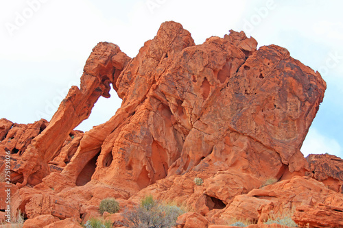 Elephant Rock, Nevada