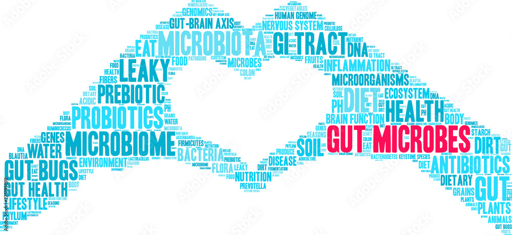 Gut Microbes Word Cloud on a white background. Gut Microbes Word Cloud on a white background.