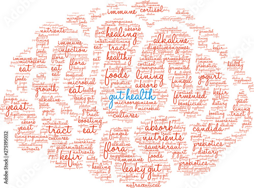 Gut Health Word Cloud on a white background. 