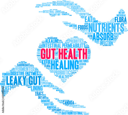 Gut Health Word Cloud on a white background. 