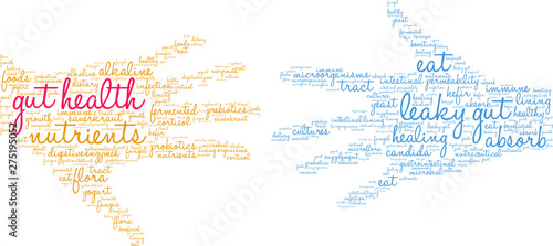 Gut Health Word Cloud on a white background. 