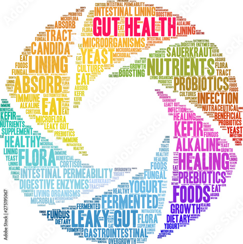 Gut Health Word Cloud on a white background. 