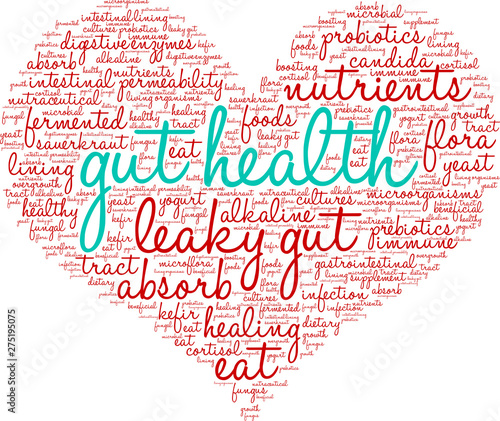 Gut Health Word Cloud on a white background. 