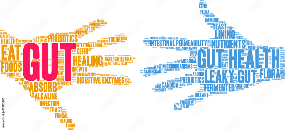 Gut Word Cloud on a white background. 