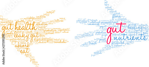 Gut Word Cloud on a white background. 