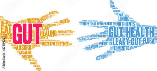 Gut Word Cloud on a white background. 
