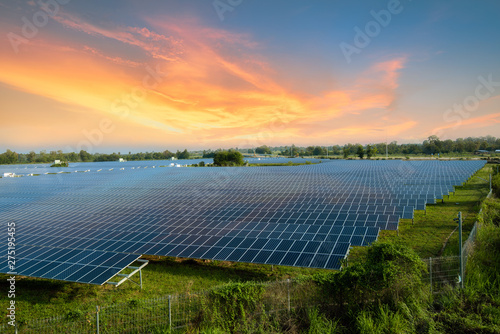 Solar panels (solar cell) in solar farm with blue sky
