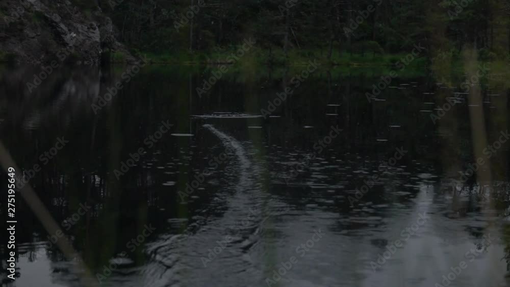 Fly Fisher strikes when a trout takes his fly, but is too slow to hook it. Super slow motion and close up. Fly Fisher strikes when a trout takes his fly, but is too slow to hook it. Super slow motion and close up.