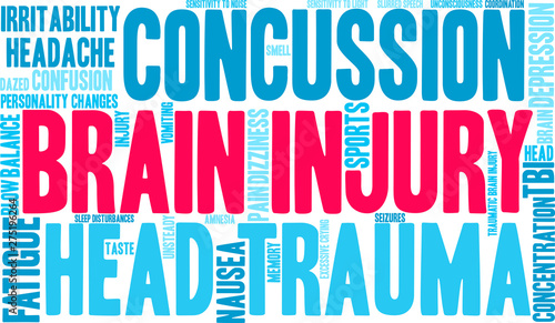 Brain Injury Word Cloud on a white background. 