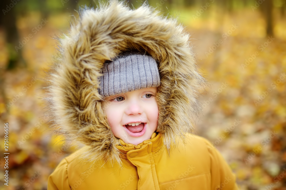 Little boy during stroll in the forest at cold sunny autumn day Little boy during stroll in the forest at cold sunny autumn day