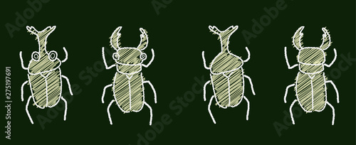 カブトムシとクワガタムシ　黒板