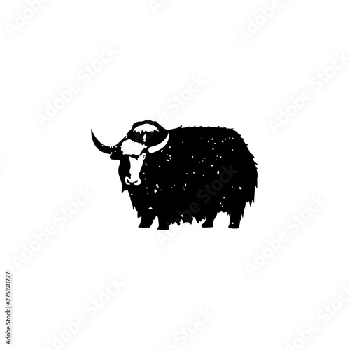 yak vintage vector logo design