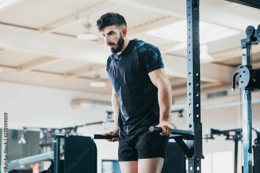 bodybuilder man training in the gym bodybuilder man training in the gym