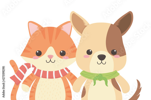 Cat and dog cartoon design