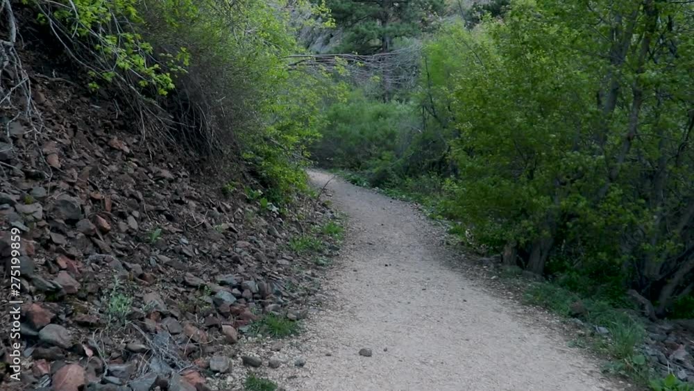 Hiking trail somewhere in Wyoming Hiking trail somewhere in Wyoming