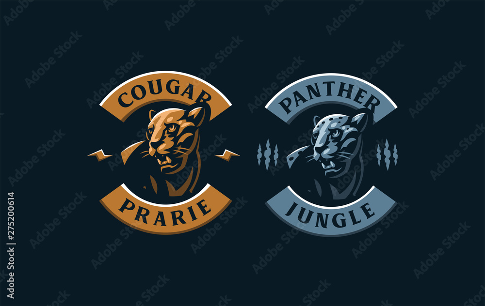 The image of a cougar or panther. The image of a cougar or panther.