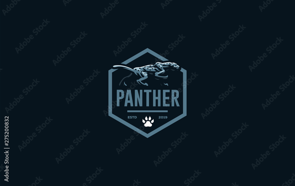 The image of a coguar or panter. The image of a coguar or panter.