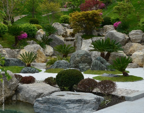 Japanese garden in the spring