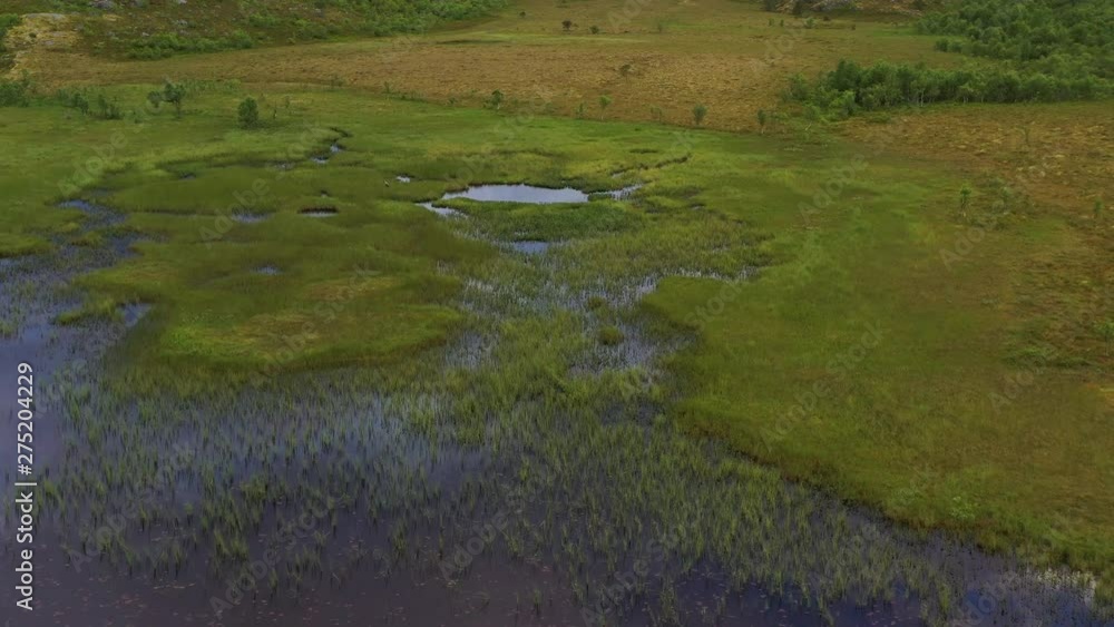 Aerial drone shot, push forward shot over a green bog, flying slowly through a swamp Aerial drone shot, push forward shot over a green bog, flying slowly through a swamp
